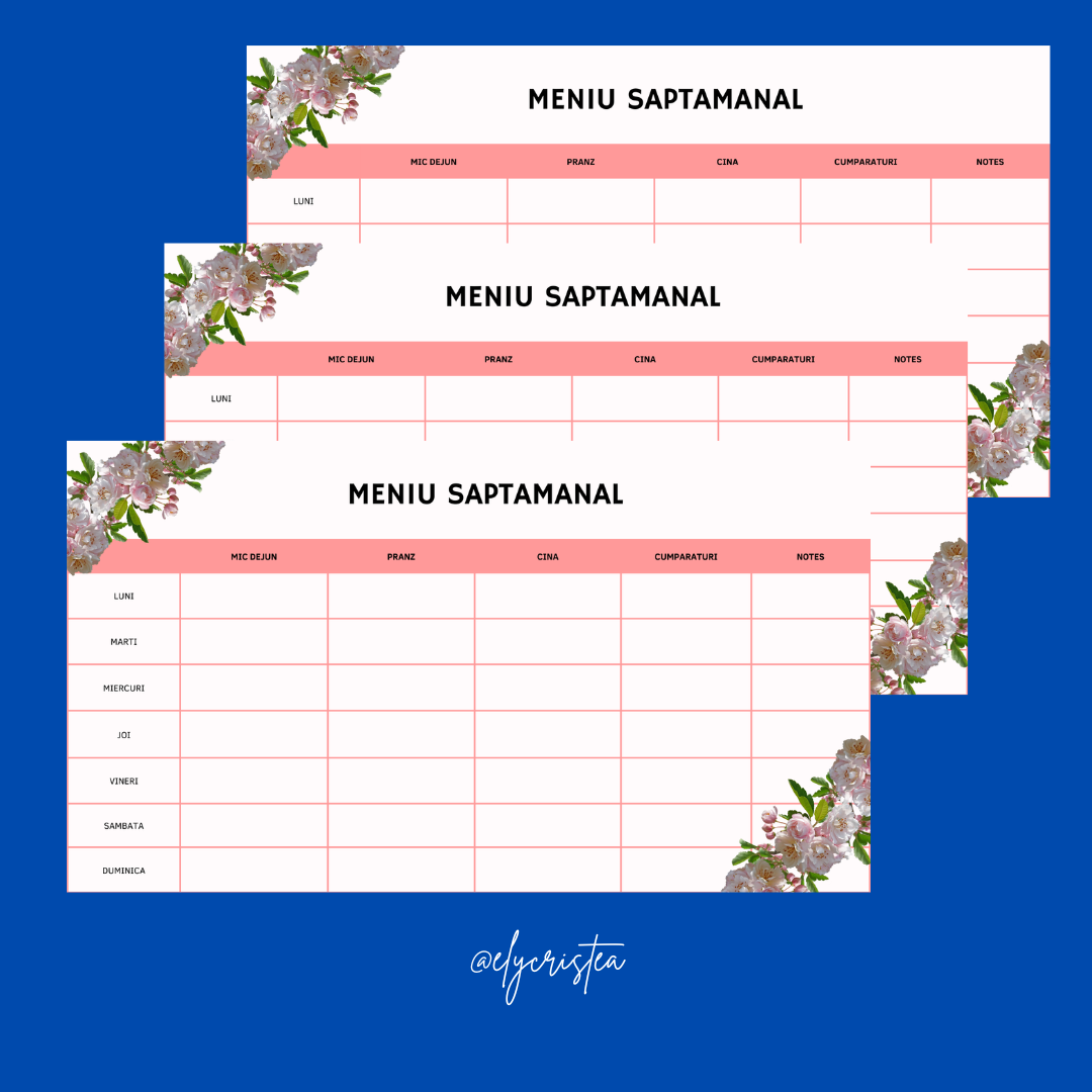 Meniu saptamanal